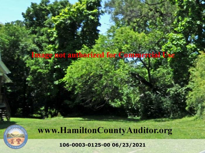 Photo 06/23/2021